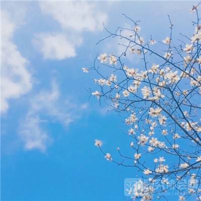 半岛平台官方网站入口网址