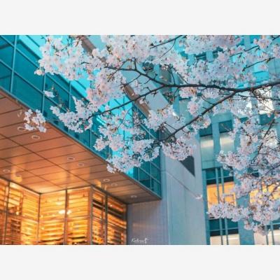 365be体育官方网站