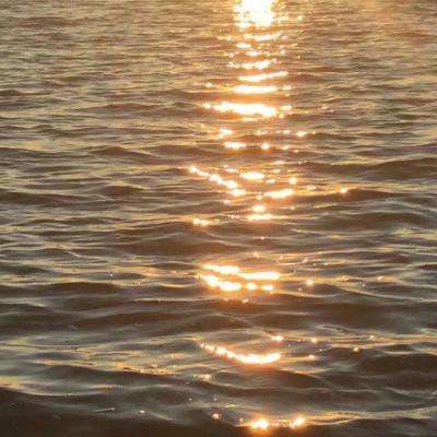 半岛棋牌官网截图